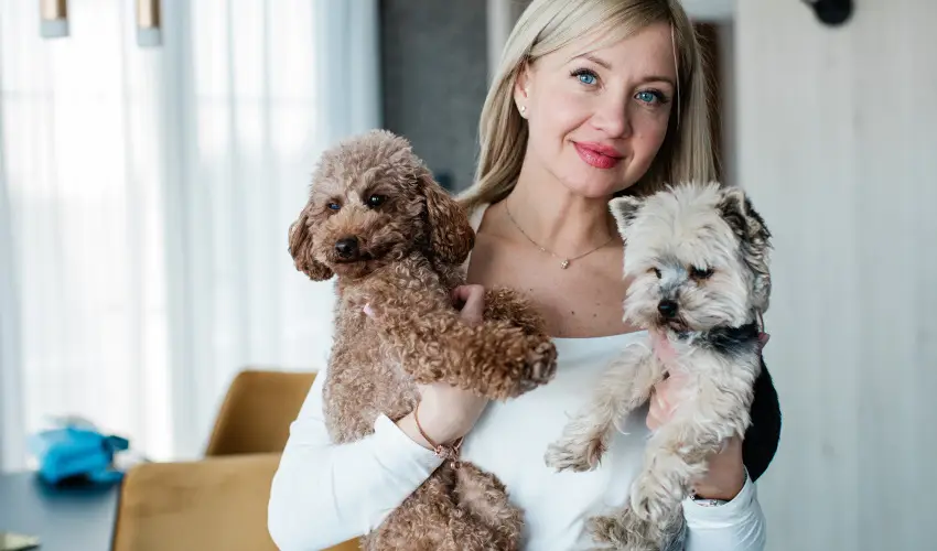 Mercure Tokaj Center Tokaj - Mjus 1.