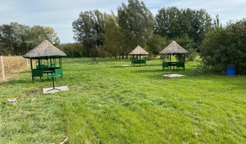 Montana Vendghz Balatonederics - Mjus 1. (min. 2 j)