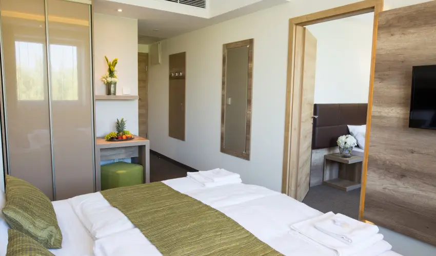 Ndas T Park Hotel Vasad - Mjus 1. (min. 3 j)