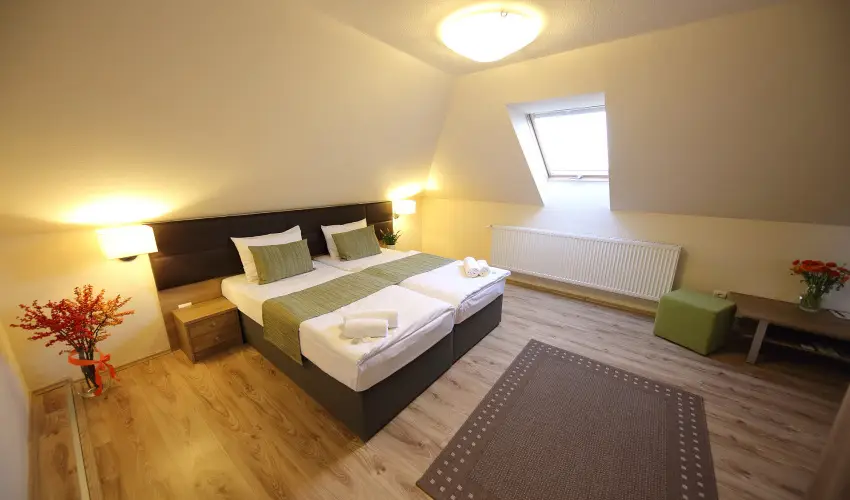 Ndas T Park Hotel Vasad - Mjus 1. (min. 3 j)