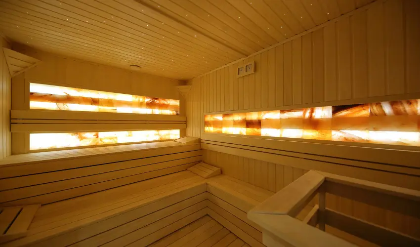 Ndas T Park Hotel Vasad - Mjus 1. (min. 3 j)