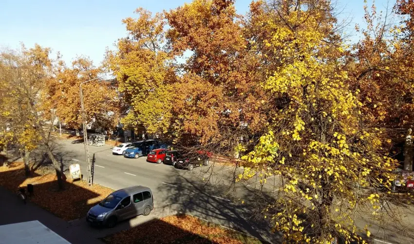 Napsugr Kenzy Lux Apartman Vendghzak Hajdszoboszl - Mjus 1. (min. 2 j)