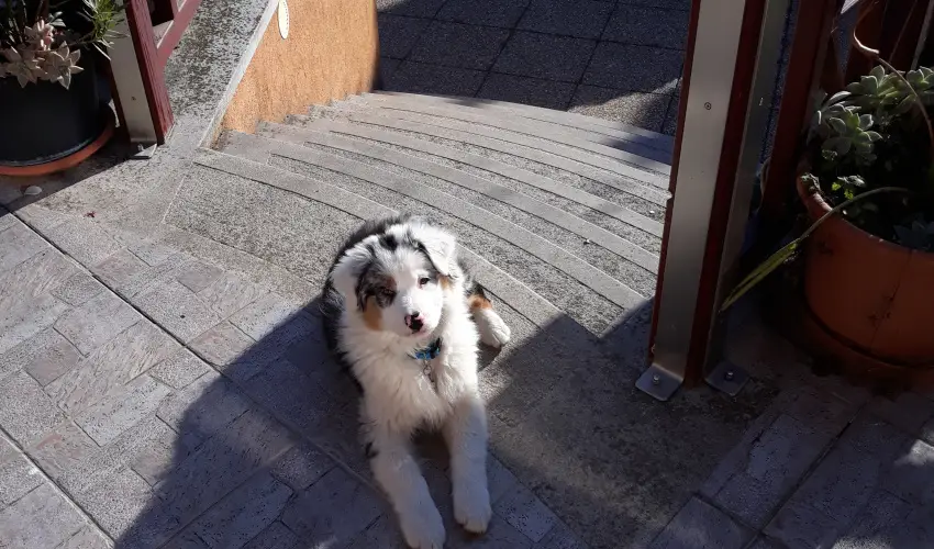 Napsugr Kenzy Lux Apartman Vendghzak Hajdszoboszl - Mjus 1. (min. 2 j)