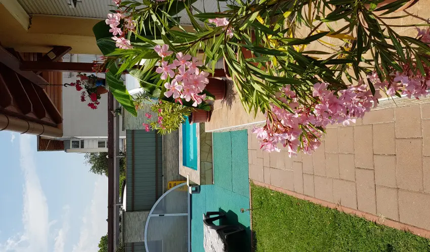 Napsug�r Resort Si�fok - Majus 1. (min. 2 �j)