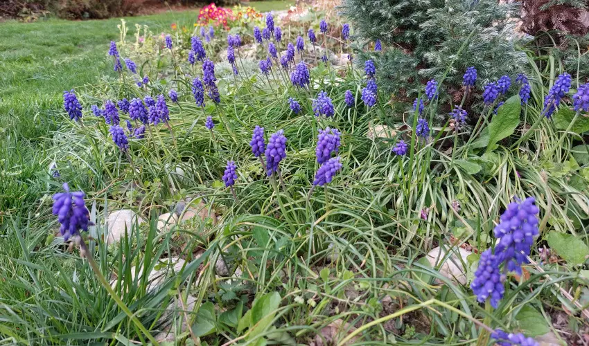 Ngy vszak Apartmanhz Zalakaros Zalakaros - Mjus 1. 