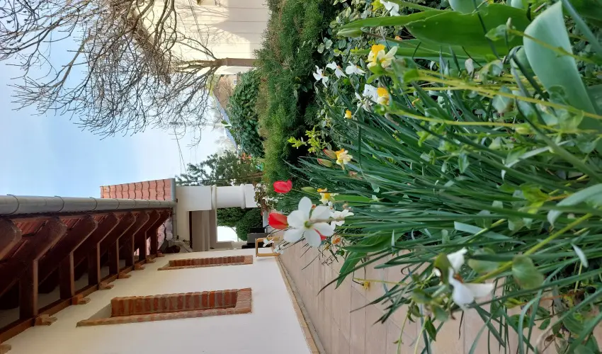 Ngy vszak Apartmanhz Zalakaros Zalakaros - Mjus 1. 