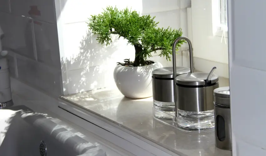 Nmeth Apartmanok Srvr - Mjus 1.  (min. 2 j)