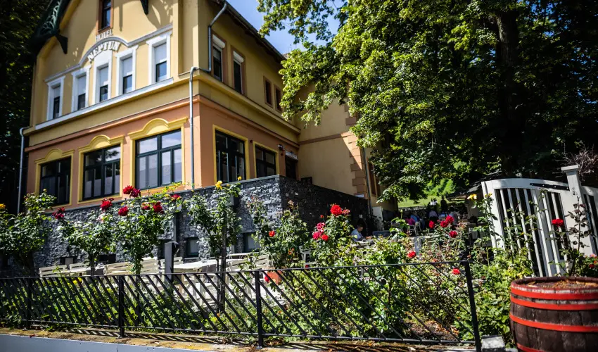 Neptun Badacsony Badacsony - Mjus 1.