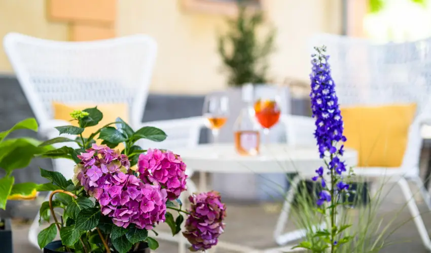 Neptun Badacsony Badacsony - Mjus 1.