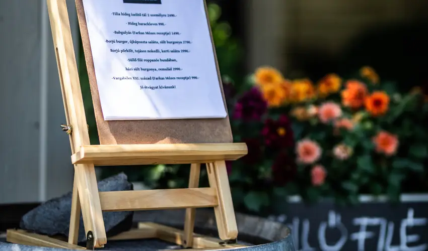 Neptun Badacsony Badacsony - Mjus 1.