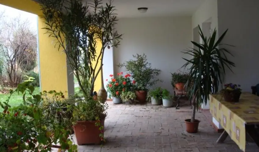 Nyugi Tanya Magyarts - Mjus 1. (min. 3 j)