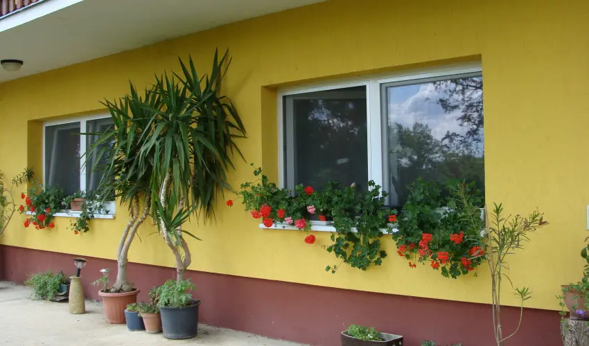 Nyugi Tanya Magyarts - Mjus 1. (min. 3 j)