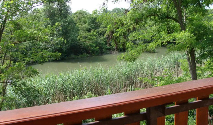 Nyugi Tanya Magyarts - Mjus 1. (min. 3 j)