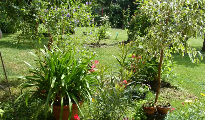 Nyugi Tanya Magyarts - Mjus 1. (min. 3 j)