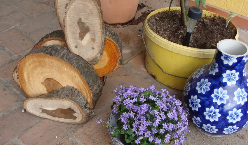 Nyugi Tanya Magyarts - Mjus 1. (min. 3 j)