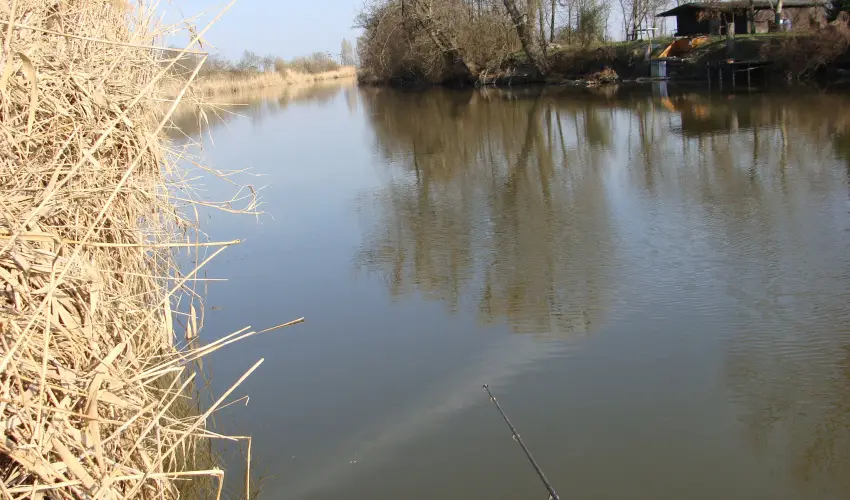 Nyugi Tanya Magyarts - Mjus 1. (min. 3 j)