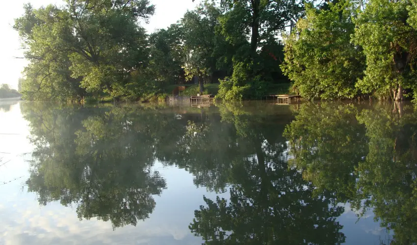 Nyugi Tanya Magyarts - Mjus 1. (min. 3 j)