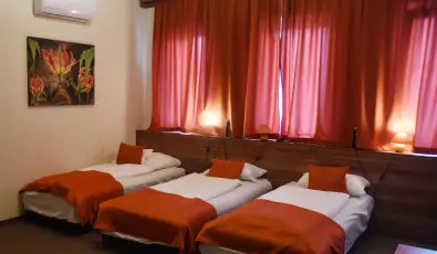 Ozis Wellness Panzi Szigetszentmikls