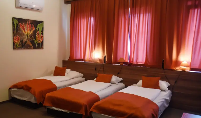 Ozis Wellness Panzi Szigetszentmikls - Mjus 1. 