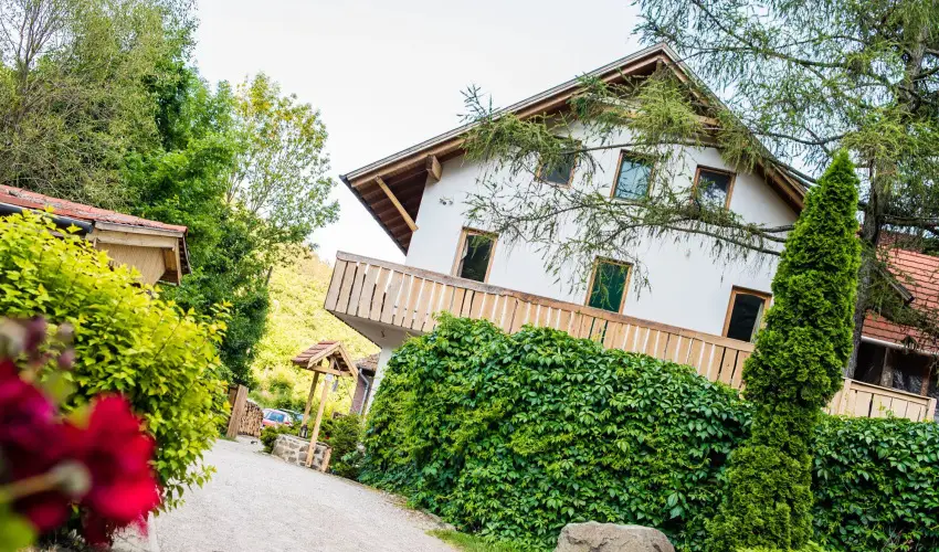 ko-Park Panzi Szarvask - Mjus 1. 