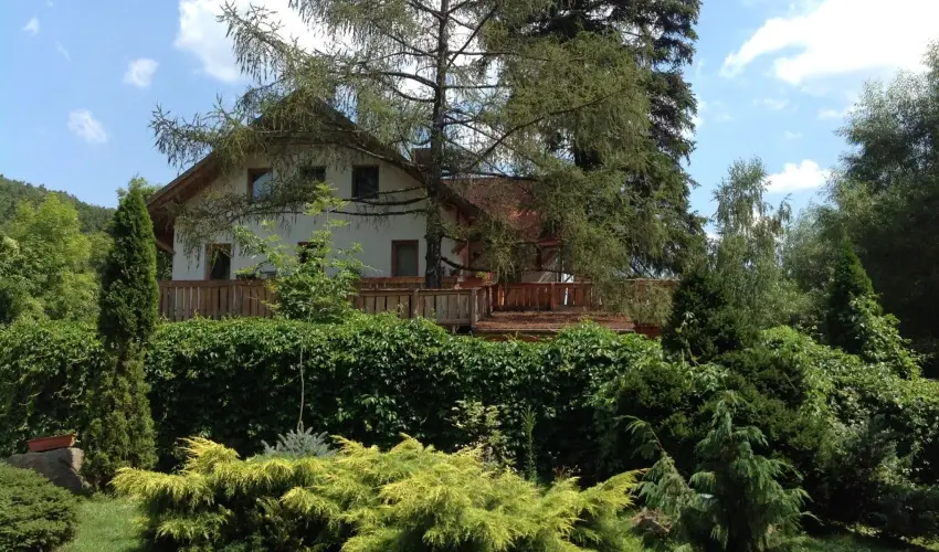 ko-Park Panzi Szarvask - Mjus 1. 