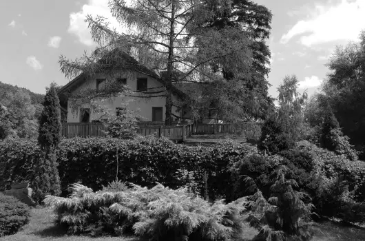 ko-Park Panzi - Mjus 1. 