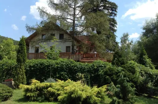 ko-Park Panzi - Mjus 1. 