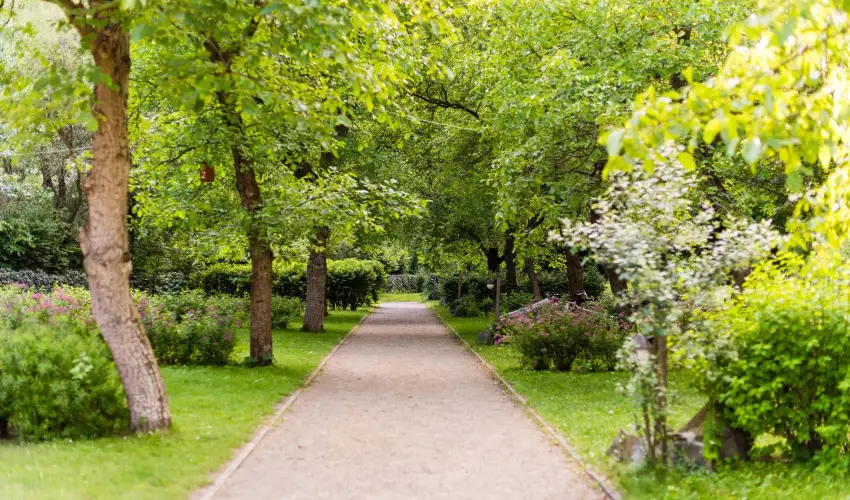 ko-Park Panzi Szarvask - Mjus 1. 