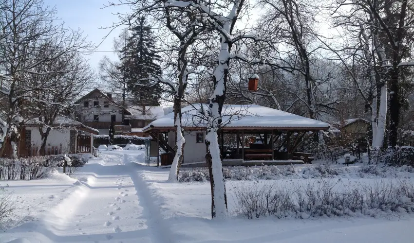 ko-Park Panzi Szarvask - Mjus 1. 