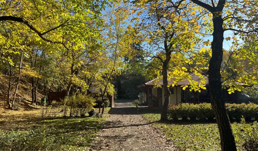 ko-Park Panzi Szarvask - Mjus 1. 