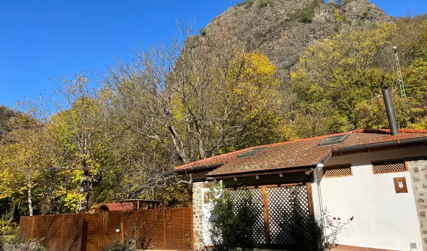 ko-Park Panzi Szarvask - Mjus 1. 