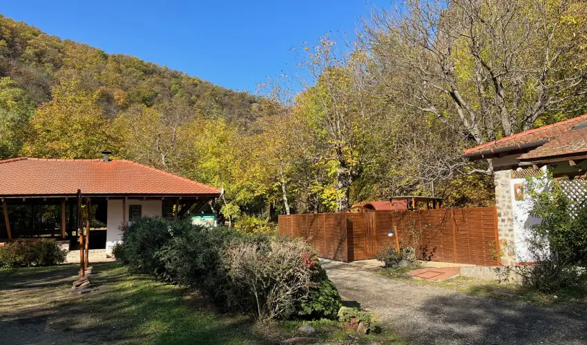 ko-Park Panzi Szarvask - Mjus 1. 