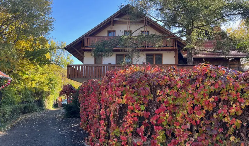 ko-Park Panzi Szarvask - Mjus 1. 