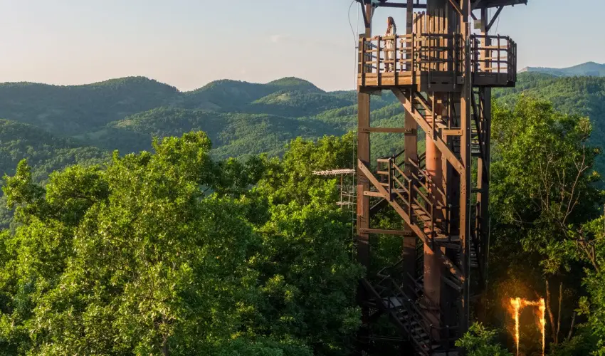 ko-Park Panzi Szarvask - Mjus 1. 