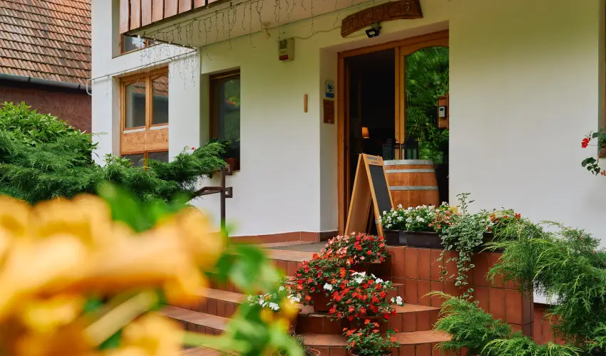 ko-Park Panzi Szarvask - Mjus 1. 