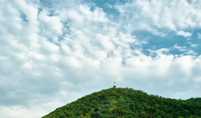 ko-Park Panzi Szarvask - Mjus 1. 