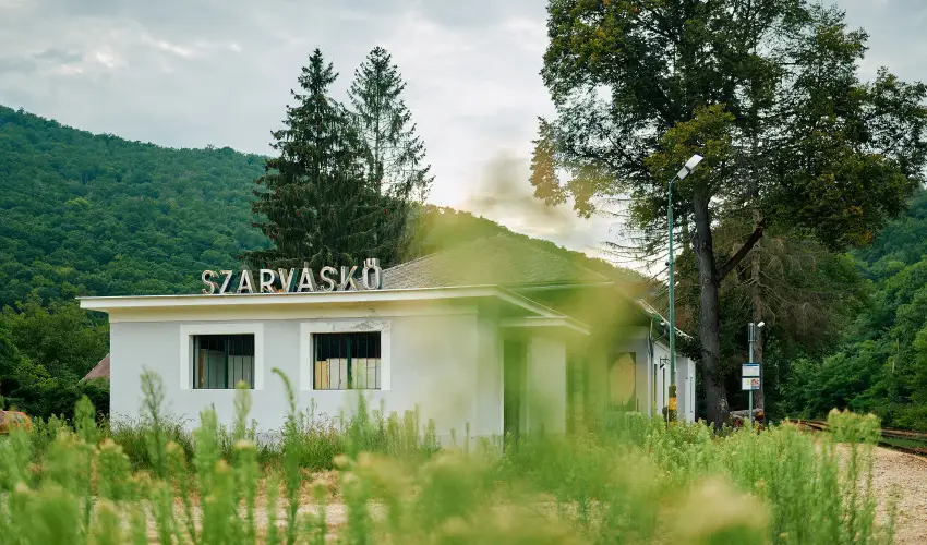 ko-Park Panzi Szarvask - Mjus 1. 