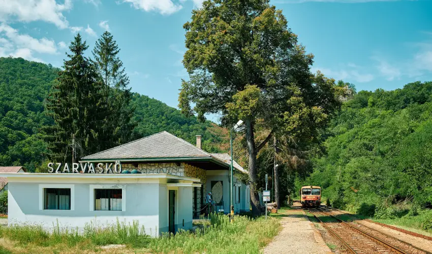 ko-Park Panzi Szarvask - Mjus 1. 