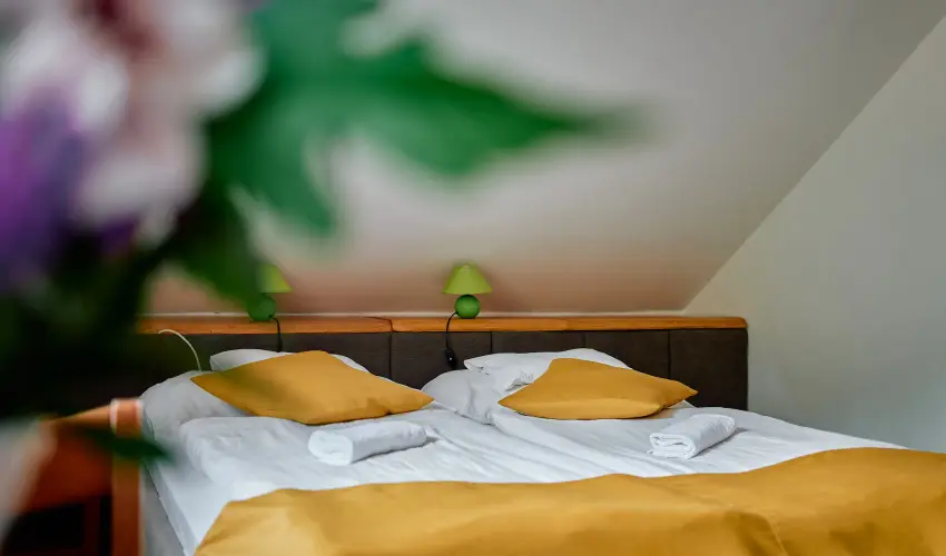 ko-Park Panzi Szarvask - Mjus 1. 