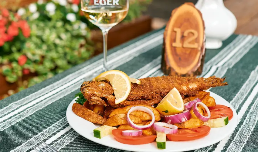 ko-Park Panzi Szarvask - Mjus 1. 