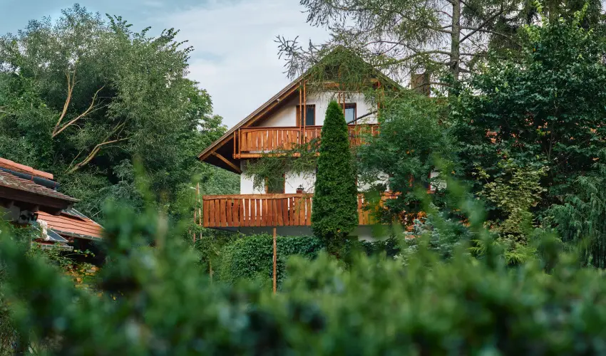 ko-Park Panzi Szarvask - Mjus 1. 