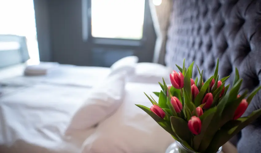 Onyx Luxury Srvr Srvr - Mjus 1. (min. 2 j)