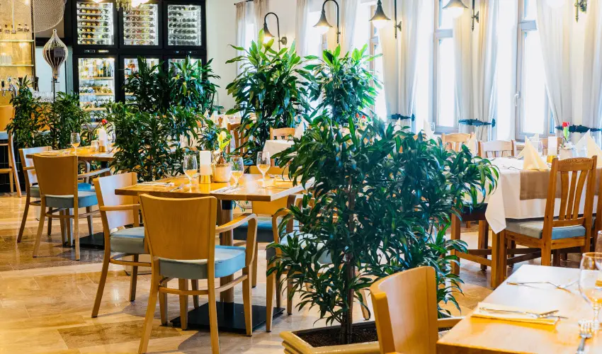 reg Halsz tterem s Fogad Tt - Mjus 1.