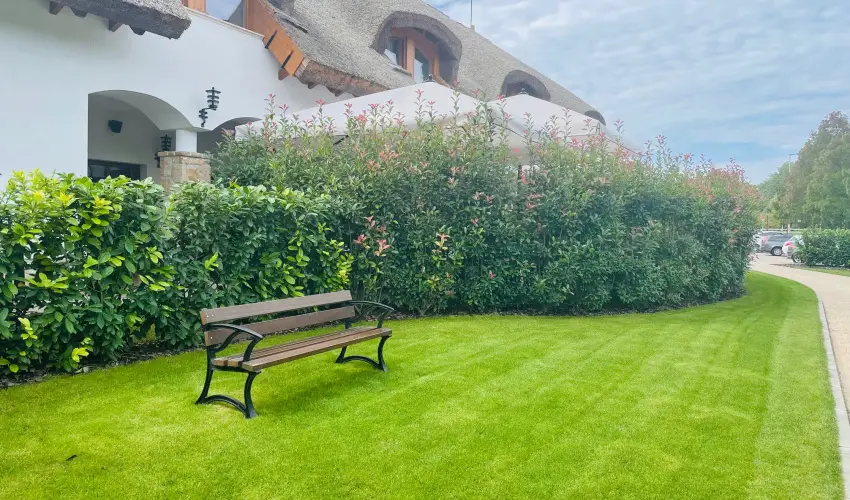 reg Halsz tterem s Fogad Tt - Mjus 1.