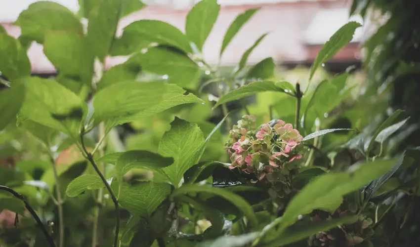 reg Prs Butikhotel Mr - Mjus 1.