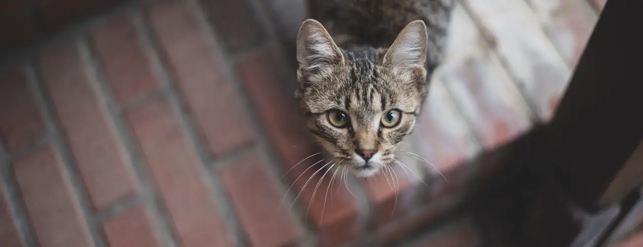 reg Prs Butikhotel Mr - Mjus 1.