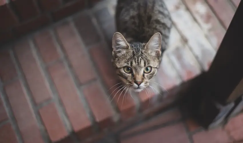 reg Prs Butikhotel Mr - Mjus 1.