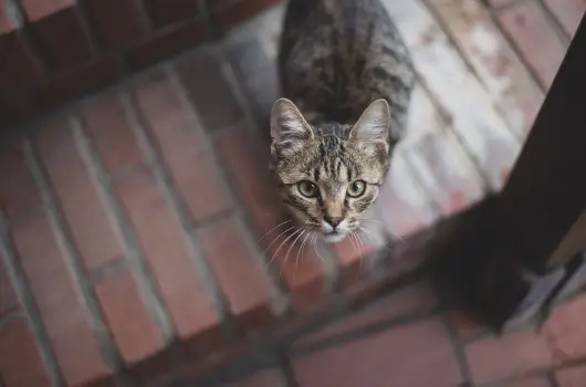 reg Prs Butikhotel - Mjus 1.