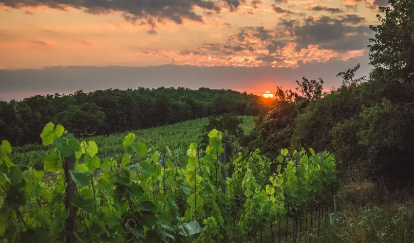 reg Prs Butikhotel Mr - Mjus 1.