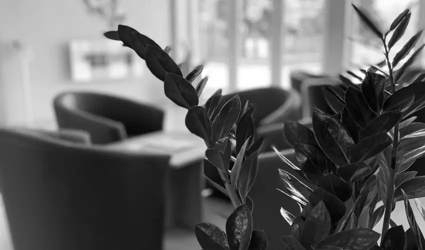 �reg-t� Hotel Tata - M�jus 1. 